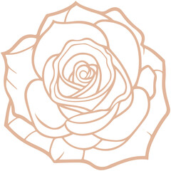 Rose Doodle Line Decorative Icon