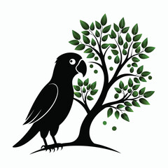 a love bird is tree food eating silhouette