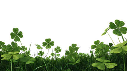 A clover field for St. Patrick's Da isolated on white background as transparent. PNG. AI GENERATED.