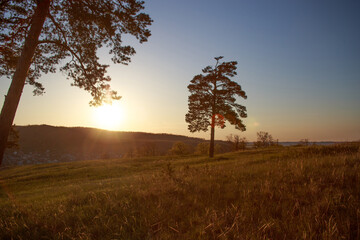 Hills with pine trees at sunset. Vivid photographs of natural landscapes.