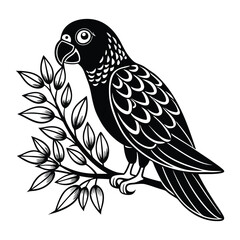 a love bird is tree food eating silhouette