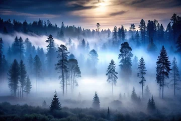 Wandcirkels Mistig bos Dark forest landscape with dense trees and mysterious fog at dawn, dawn, dark  © Pawina