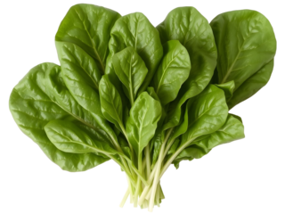 Fresh green spinach leaves, crisp and vibrant, arranged in a bunch, showcasing their healthy and nutrient-rich appearance