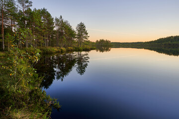 reflection of trees in water