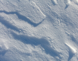 The snow is white and the ground is covered in it