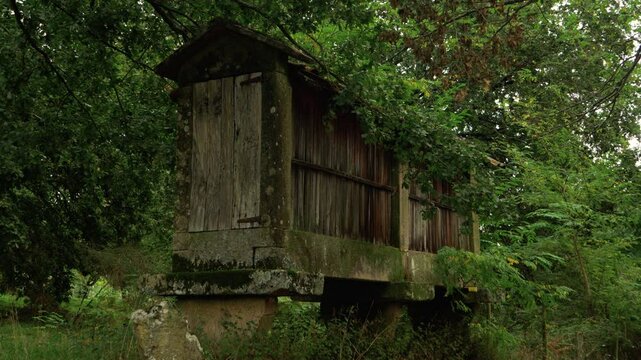 Historic h&oacute;rreo granary building amidst green vegetation in Coles, Ourense, Galicia, Spain