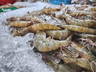 Fresh shrimp in the Thai market