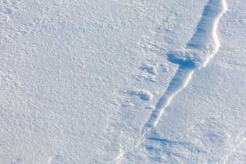 The snow is white and the ground is covered in it