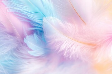 Fototapeta premium Colorful pastel soft feathers background. 