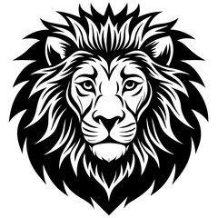 Lion head logo icon, lion face vector Illustration, on a isolated background