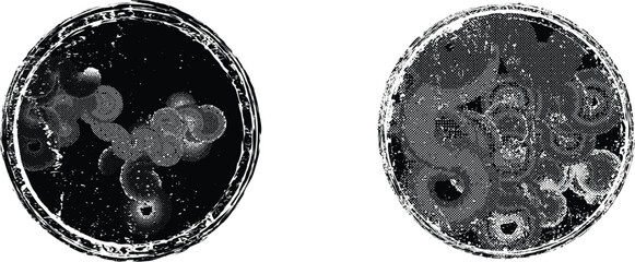 Vector rough edges badges set .Grunge set of textured black labels . Pack of vector stickers. Grunge circle stamps, insignias, labels, tags for your design. Grunge textured black vector rubber stamps