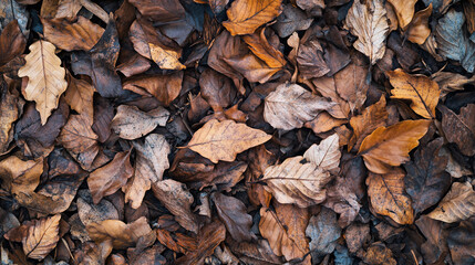 autumn leaves background texture pattern fall nature