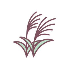 Cute miscanthus icon. Hand drawn illustration of a susuki grass isolated on a white background. Vector 10 EPS.
