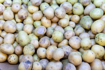 ingredient fresh root vegetarian agriculture organic food raw background vegan nutrition vegetable