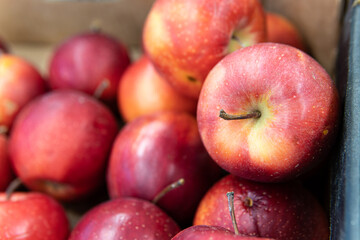 green fruit healthy raw produce apple organic food red diet market fresh agriculture