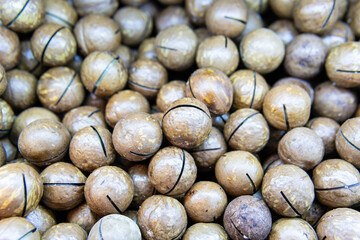 seed nutshell ingredient freshness nut no macadamia snack - cooking food organic people