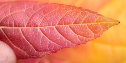 Vibrant Autumn Leaf Close-Up Celebrating Thanksgiving and Halloween with Natures Artistry