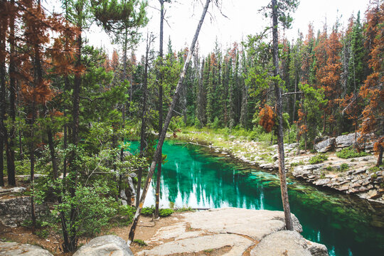 Lake in Jasper National Park