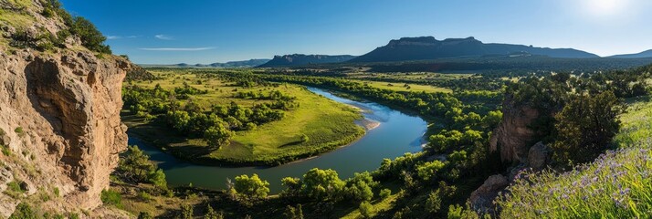 Majestic River Landscape in Lush Valley with Wildflowers and Distant Mountains - Ultra-Detailed Panoramic View