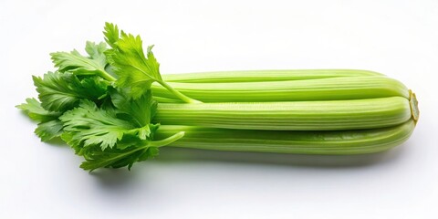 A bunch of fresh green celery stalks with leafy tops isolated on a white background