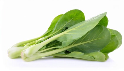 Tatsoi on white background. Tatsoi Isolated.