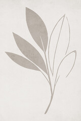 Printable botanical illustration. Rustic style home decor, wall decoration, picture in the frame. Grunge, vintage illustration.