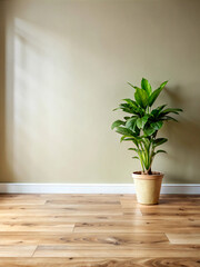 Fototapeta premium room with plant. plant, interior, pot, home, room, wall, flower, house, window, indoor, floor, nature, wood, decoration, design, architecture, tree, leaf, leaves, palm, garden, wooden, table, living, 