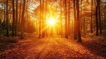 Obraz premium Close-up view of a sunset illuminating the autumn forest, capturing the vibrant colors of autumn foliage with ample copy space for text or design elements.