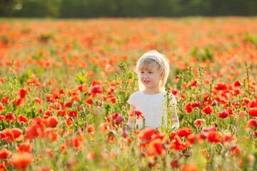 Fototapeta premium A cheerful blonde girl in a poppy field, collecting flowers and having fun