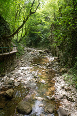 A stream of water flows through a rocky area with trees in the background