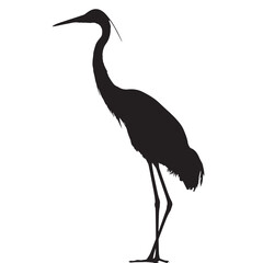 Obraz premium Crane Bird silhouette isolated on white background