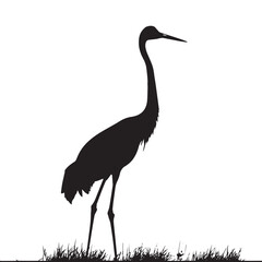 Obraz premium Crane Bird silhouette isolated on white background