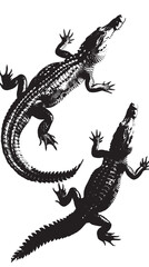 Naklejka premium Crocodiles silhouette isolated in White background