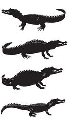 Obraz premium Crocodiles silhouette isolated in White background