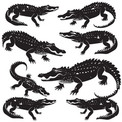 Crocodiles silhouette isolated in White background