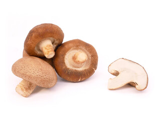 Fresh shiitake mushrooms isolated on white background.
