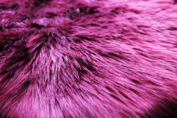 Fototapeta premium Bordeaux fur texture