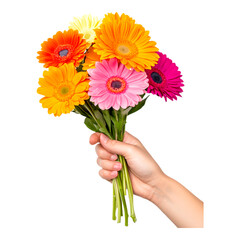 Colorful Handheld Bouquet of Fresh Flowers
