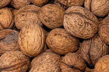 Walnuss
