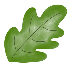 Leaf 