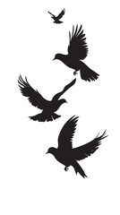Doves silhouette isolated in White background