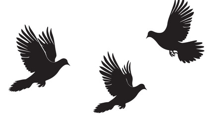 Doves silhouette isolated in White background