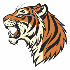 tiger head vector illustration