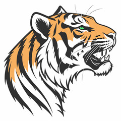 tiger head isolated