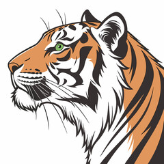 tiger head vector illustration