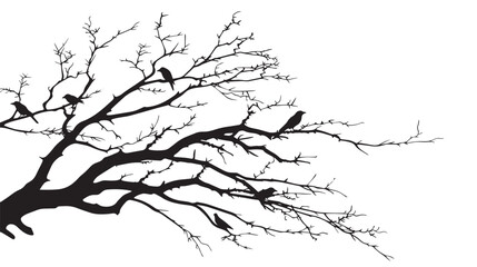 Obraz premium Dry tree branch silhouette with birds