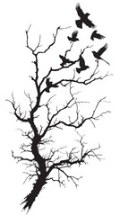 Fototapeta premium Dry tree branch silhouette with birds