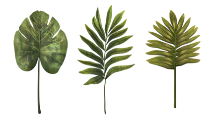 Collection of Green Leaves Isolated on a Transparent Background Generative AI