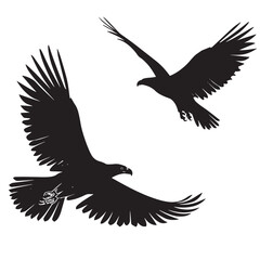 Obraz premium Eagles silhouette isolated in White background