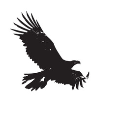 Obraz premium Eagles silhouette isolated in White background